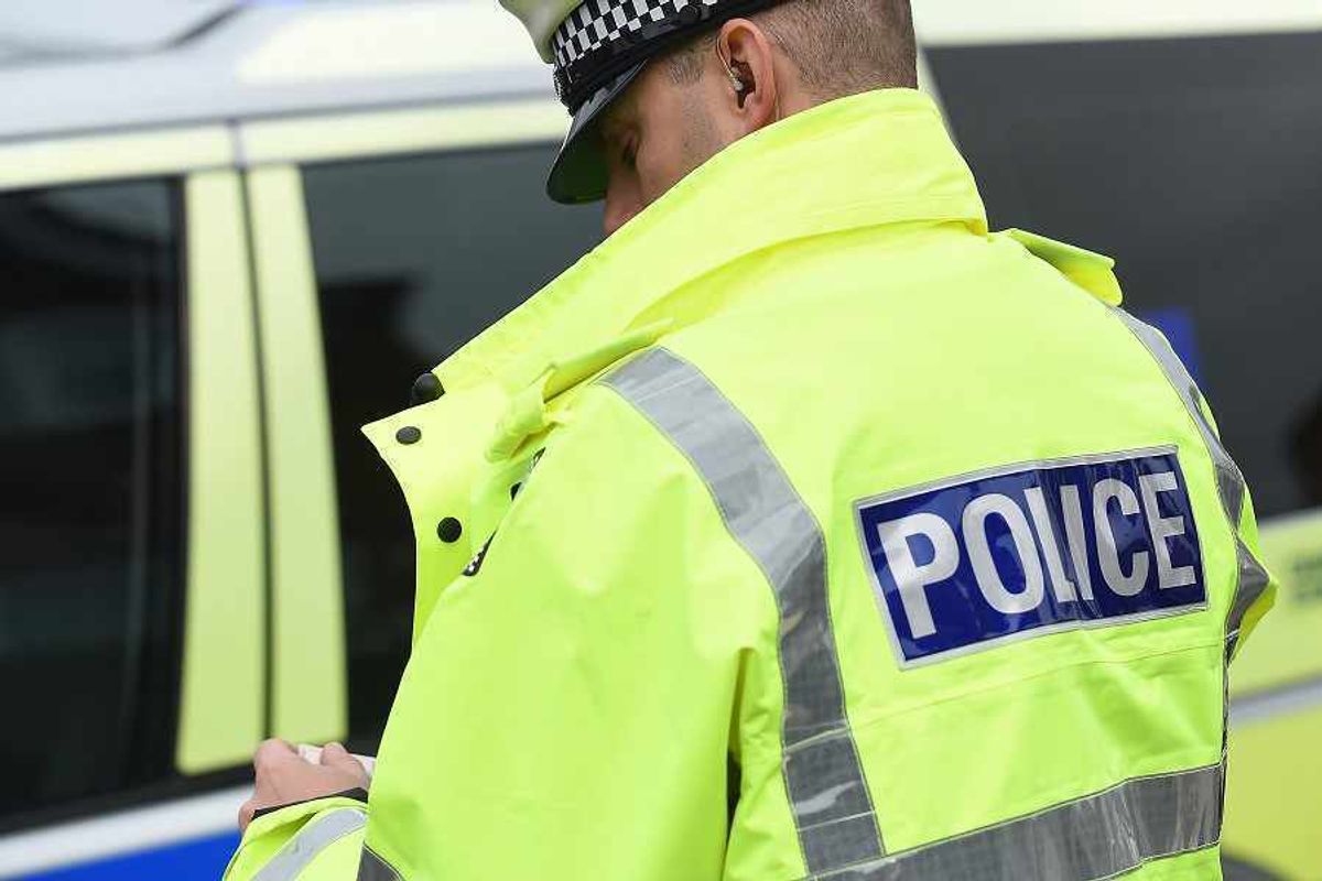 Ludlow police seek lead thief