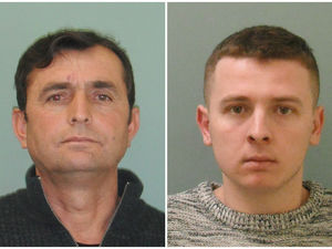 Supporting image for story: Two jailed over huge cannabis farm at Shrewsbury house