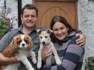 Supporting image for story: Crash couple's delight as lost dogs returned