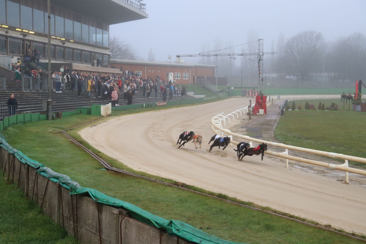 Monmore Green set to deliver some knockout action on Boxing Day Monmore Green set to deliver some knockout action on Boxing Day