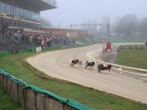 Supporting image for story: Monmore Green set to deliver some knockout action on Boxing Day