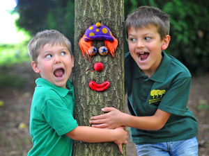 Supporting image for story: Tree people are waiting to be discovered in Kidderminster trail
