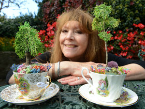 Supporting image for story: A nice cup of tea 