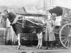 Supporting image for story: Wellington's mystery calendar girl for August 2018