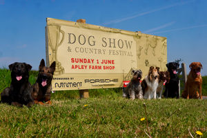 The show takes place on Sunday, June 1.