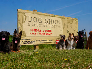 Supporting image for story: One of Shropshire's leading dog shows set to return - here's where and when