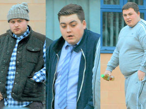 Supporting image for story: Suspended sentences for barbaric trio set out to trap wild badgers