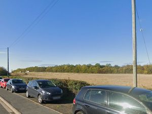 Supporting image for story: 'Give nature some space': 80 homes plan in Telford sparks concerns over traffic, wildlife and stretched services