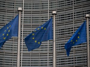 Supporting image for story: Police search offices and residence of employee of European Parliament