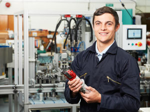 Supporting image for story: Ladder for the Black Country: A call for employer engagement