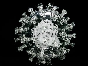 Supporting image for story: What is known about the Brazilian coronavirus variant?