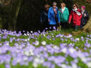 Supporting image for story: Sunshine and showers as winds whip across the West Midlands and temperatures dip to 8°C