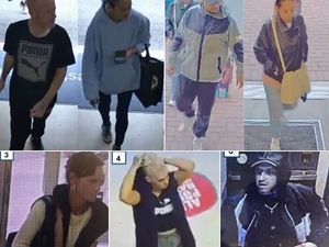 Supporting image for story: Wanted: Seven people sought by Telford police in connection with thefts at shops, including Just for Pets