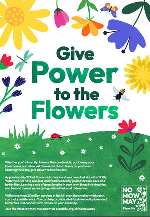 Plantlife의 No Mow May 공식 포스터