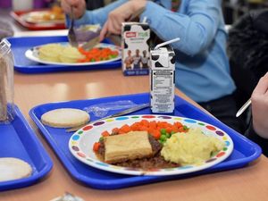 Supporting image for story: Shropshire Council appeals for patience in bid to secure free school meals amid coronavirus shutdown