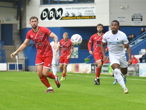 Supporting image for story: "There are others we could put in" - Wilkin revels in AFC Telford United's attacking options