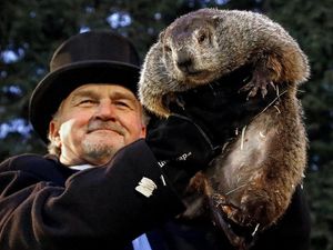 Supporting image for story: Sky Cinema celebrated Groundhog Day in exactly the right way