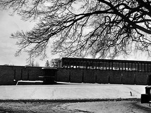 Supporting image for story: Pictures from the past - March 17