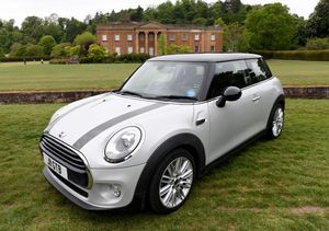 Organisers Geoff Beckett, Dave Hollis and Sue Beckett get set for the British Mini Day event at Himley Park.