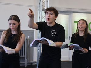 Supporting image for story: Arts centre launches new stage school classes