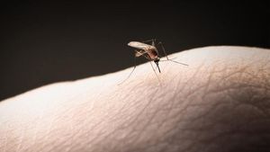 Supporting image for story