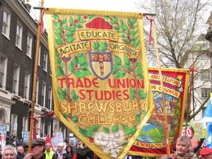 Supporting image for story: Owners offer reward for missing banner