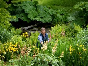 Supporting image for story: Gardens near Bridgnorth open for charity once more