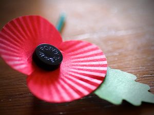 Supporting image for story: Appeal to find owner of medals believed to have been lost after Remembrance Sunday commemorations