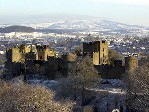 Supporting image for story: Ticket stampede for arts festival first day