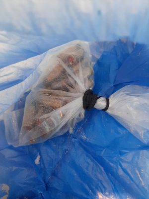 A bag of ammunition was also discovered in the property