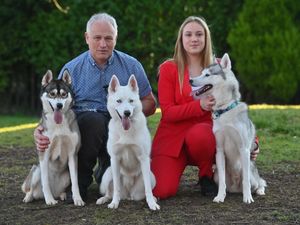 Cara Wakeling 12 and her Grandad: Ian Wakeling, with Huskies: White: Ayahni, light grey: Reno and dark grey: Trixie. They will be showing them at Crufts