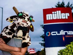 Supporting image for story: Milk price row: Dozens of farmers turn out at latest Muller protest