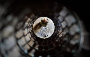 Looking down the column's spiral staircase