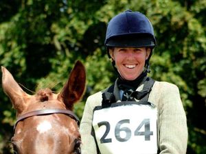 Supporting image for story: Whitchurch horse rider progressing after fall 