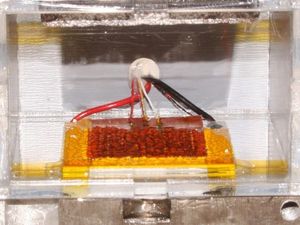 Supporting image for story: Researchers have found a way to turn air into drinkable water with a solar-powered device