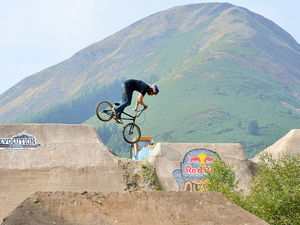 Supporting image for story: Bike park forced to close after larch trees succumb to disease