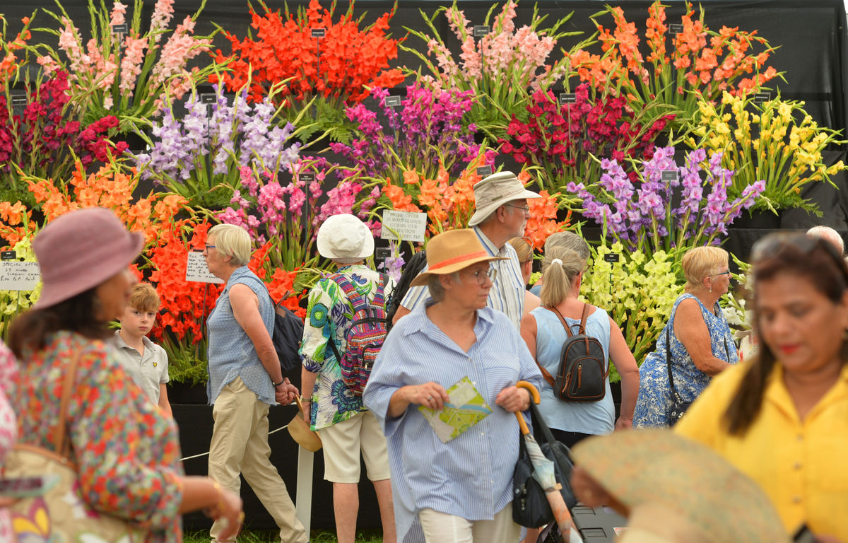 'Think of the prestige if Shropshire wins Town of Culture - and think of the money!' - Toby Neal's view on the big battle aheadPlus News|2 hours ago