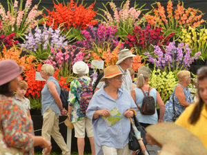 Supporting image for story: 'Think of the prestige if Shropshire wins Town of Culture - and think of the money!' - Toby Neal's view on the big battle ahead