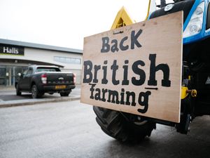 Supporting image for story: 'The collateral damage will be more than anyone thought' - Your Letters: January 15