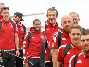 Supporting image for story: Edwards' and Chester's dragons land back home