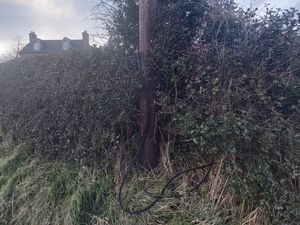 Supporting image for story: Village near Market Drayton left with no phone or internet for more than two weeks after cable is damaged by Storm Ciara