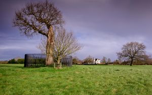 Oak tree planting at Boscobel House Shropshire. Picture by Jim Holden