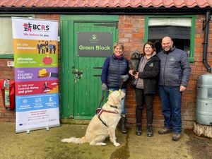 Supporting image for story: Couple secure £100,000 funding to make dream kennels business purchase