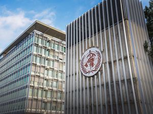 Supporting image for story: WHO Africa director-elect dies while receiving treatment in India