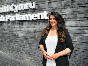 Supporting image for story: Welsh Conservative MS gets official reprimand for 20mph comments