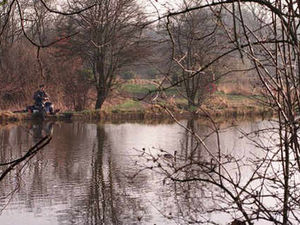 Supporting image for story: Big fines for fishing without a licence