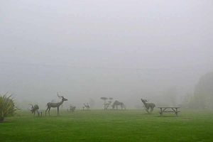 Shrouded in mist – grounds of the British Ironworks Centre in Oswestry