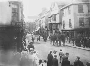 A circus would come to Ludlow each year and circus animals would be paraded down the High Street to the amazement and delight of spectators.