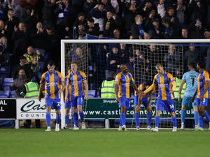 Supporting image for story: Ollie Westbury: Shrewsbury are heading down unless they figure this out