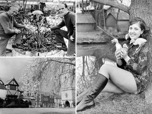 Supporting image for story: Shropshire retro: 16 charming springtime images from years gone by